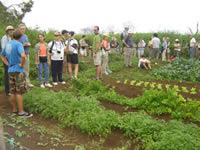 the nature conservancy board of directors visit cedevis fundar lifestyle demotration center