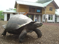 visitors to fundar galapagos sustaintable lifestyle demostration center cedevis